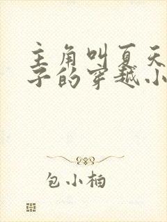 主角叫夏天九皇子的穿越小说