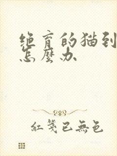 绝育的猫到处尿怎么办