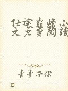 仕途巅峰小说全文免费阅读