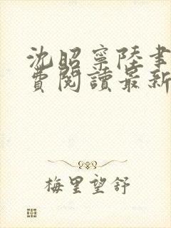 沈昭宁陆聿珩免费阅读最新章节更新