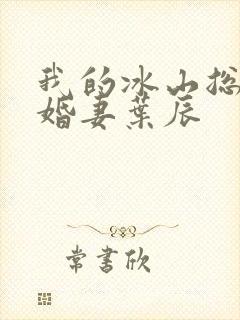 我的冰山总裁未婚妻叶辰