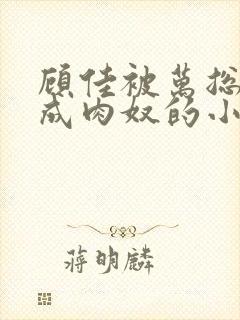 顾佳被万总调教成肉奴的小说