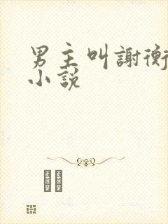 男主叫谢衡之的小说