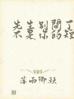 先生别闹了新娘不是你的短剧免费看