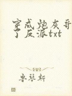 穿成炮灰哥儿嫁了反派txt