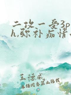 二攻一受3p高h,弥补痴情受
