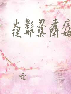 火影忍者疾风传从哪集开始