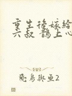 重生后嫁给前夫六叔 鹊上心头