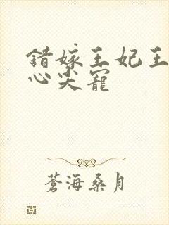 错嫁王妃王爷的心尖宠