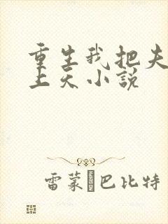 重生我把夫君宠上天小说