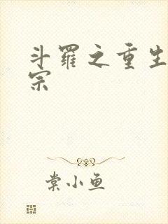 斗罗之重生昊天宗