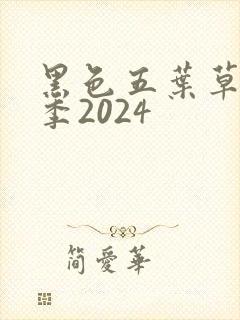 黑色五叶草第二季2024