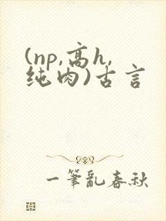 (np,高h,纯肉)古言