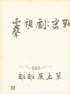 电视剧:密战无声