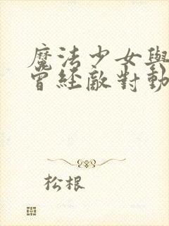 魔法少女与邪恶曾经敌对动漫全集免费观看