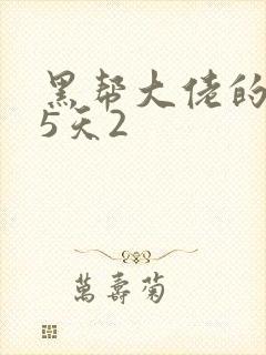 黑帮大佬的365天2