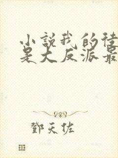 小说我的徒弟都是大反派最新章节