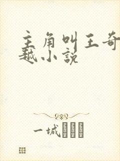 主角叫王奇的穿越小说