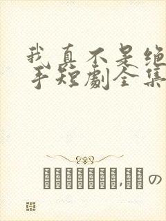 我真不是绝世高手短剧全集