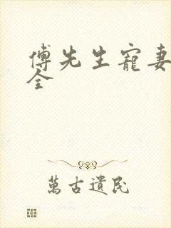 傅先生宠妻无度全