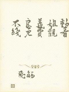 不良义姐动漫在线免费观看