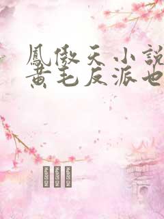 凤傲天小说里的黄毛反派也想幸福免费观看