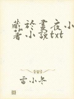 藏于昼夜小说原著小说txt