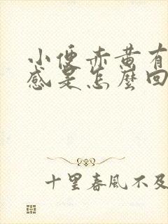 小便赤黄有灼热感是怎么回事