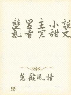 双男主小说一口气看完甜文