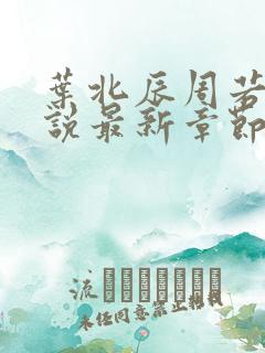 叶北辰周若妤小说最新章节