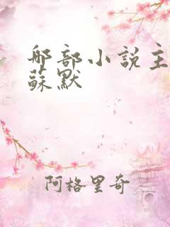 哪部小说主角叫苏默