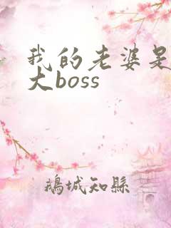 我的老婆是重生大boss