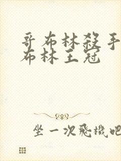 哥布林杀手 哥布林王冠