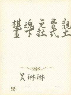 棋魂免费观看漫画下拉式土豪漫画