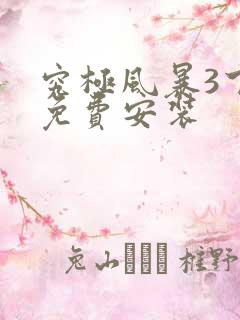 究极风暴3下载免费安装