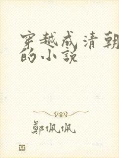 穿越成清朝阿哥的小说