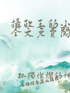 摄政王的小萌妃全文免费阅读