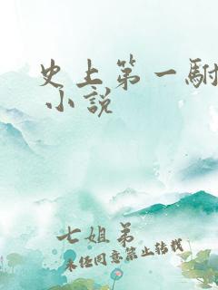 史上第一驸马爷 小说