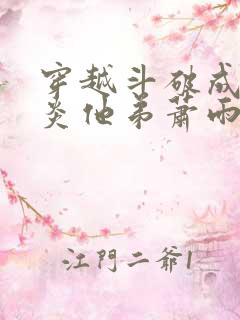 穿越斗破成了萧炎他弟萧雨