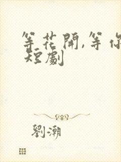 等花开,等你归 短剧