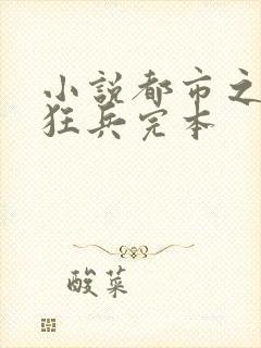 小说都市之最强狂兵完本