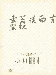 舌苔淡白有齿痕裂纹