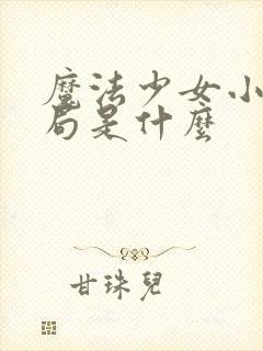 魔法少女小圆结局是什么