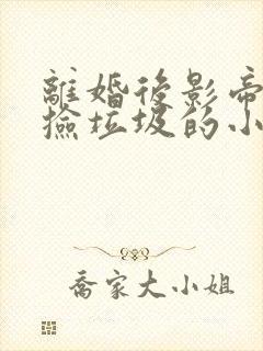 离婚后影帝天天捡垃圾的小说