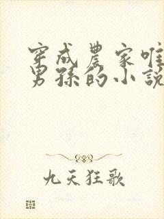 穿成农家唯一的男孙的小说