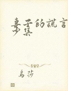 妻子的谎言有多少集