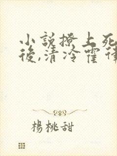 小说撩上死对头后,清冷霍律不忍了江南在