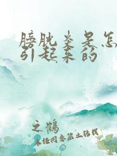 膀胱炎是怎么样引起来的