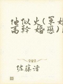 他似火(军婚 高干 婚恋)臣言