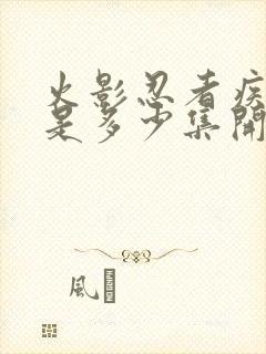 火影忍者疾风传是多少集开始